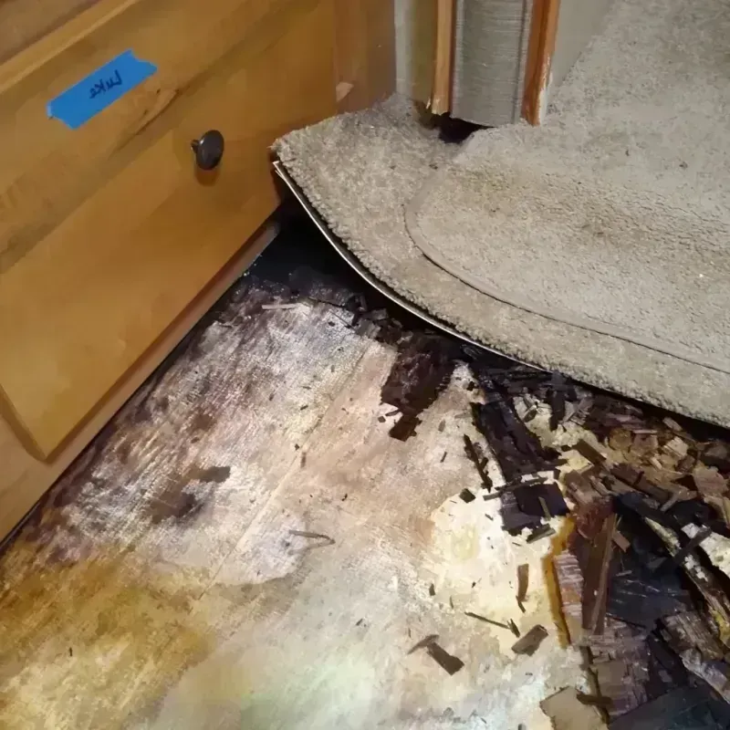 Best Wood Floor Water Damage Service in Attica, NY